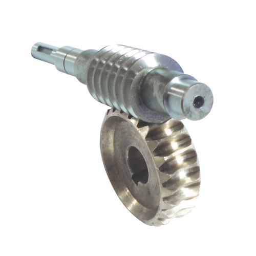 Z24 Worm Screw